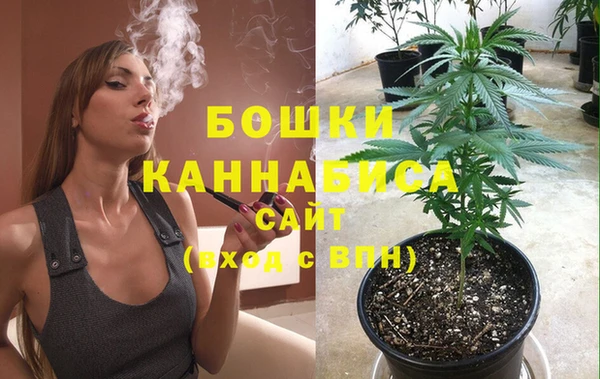 шишки Аркадак