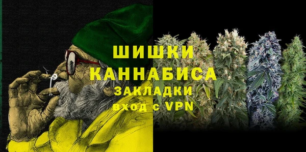 шишки Аркадак