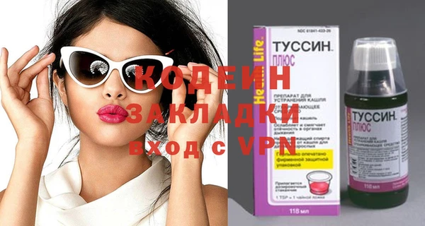 шишки Аркадак