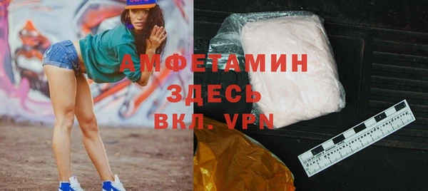 шишки Аркадак