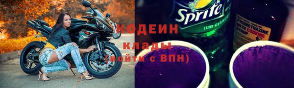 шишки Аркадак