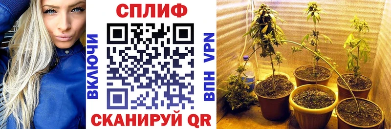 Конопля THC 21% Сысерть